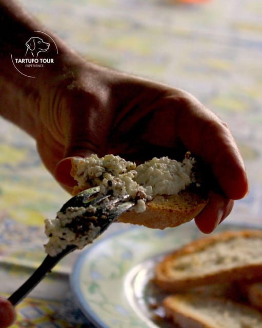 truffle-tour-experience-truffle-hunting-and-tasting