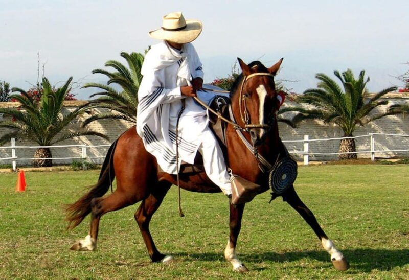 trujillo-chan-chan-horse-riding-huanchaco