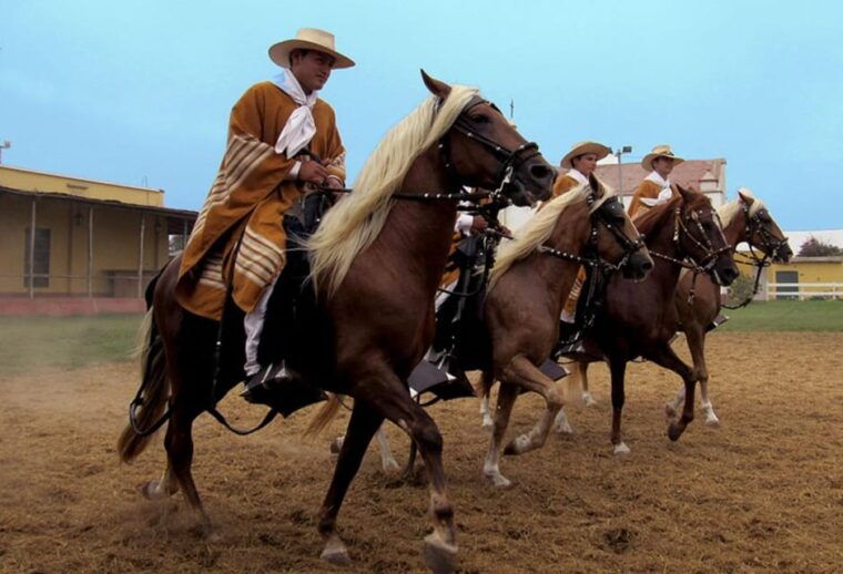 trujillo-chan-chan-horse-riding-huanchaco