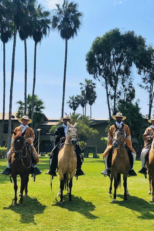 trujillo-show-of-peruvian-paso-horse-marinera-with-lunch