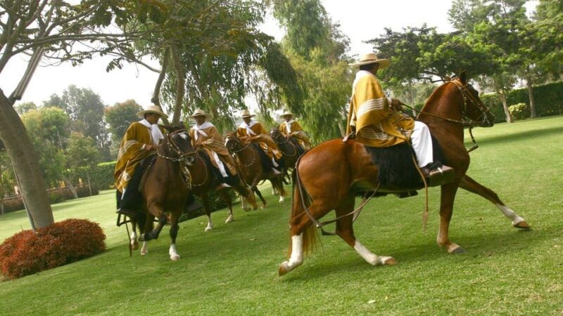 trujillo-show-of-peruvian-paso-horse-marinera-with-lunch