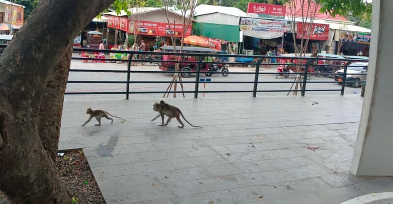 Trusty tuktuk tour/Bambootrain/countryside/killing &bat cave - Authenticity and Guides: Why They Matter