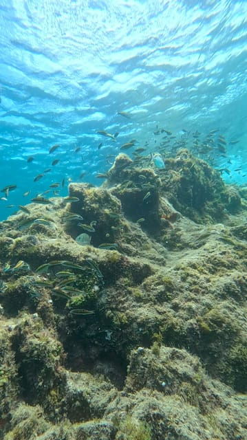 try-dive-and-have-a-wonderful-experience-in-lanzarote