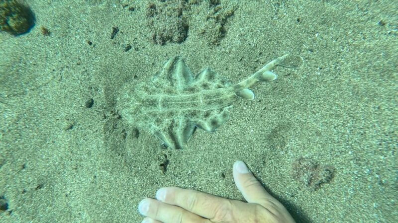 try-dive-and-have-a-wonderful-experience-in-lanzarote