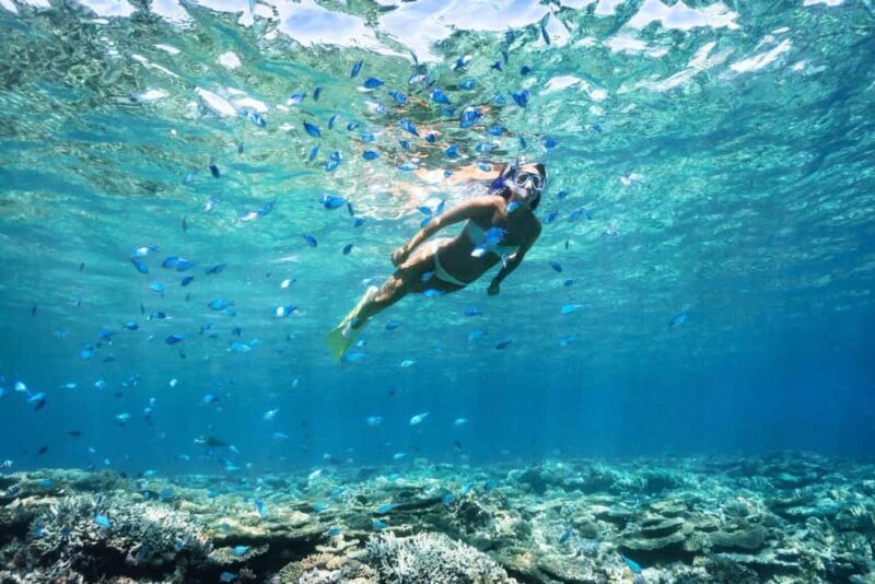 Try Dive for first time in fujairah - Why Choose This Experience?