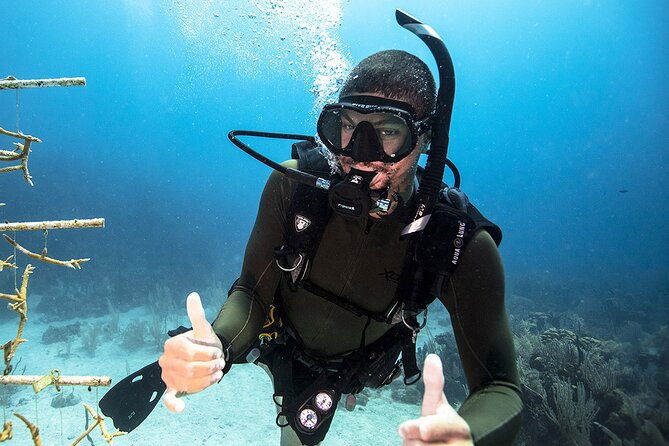 try-dive-scuba-diving-with-a-private-guide-incl-photos
