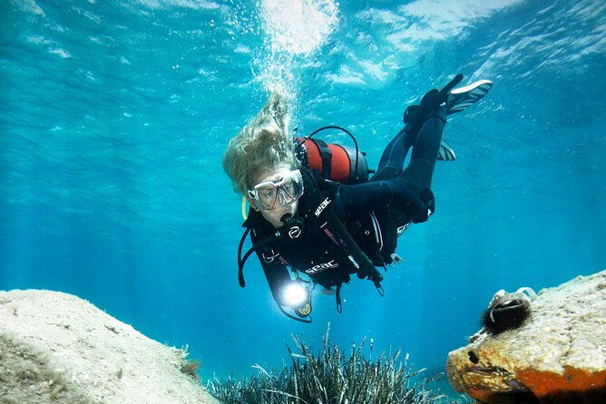 try-dive-scuba-diving-with-a-private-guide-incl-photos