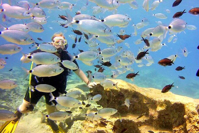 try-dive-scuba-diving-with-a-private-guide-incl-photos