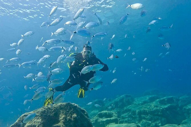 try-dive-scuba-diving-with-a-private-guide-incl-photos