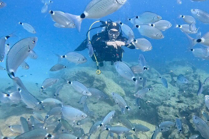 try-dive-scuba-diving-with-a-private-guide-incl-photos