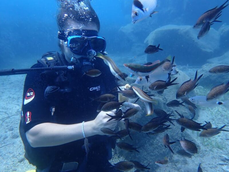 Try Diving Adventure - What’s Included