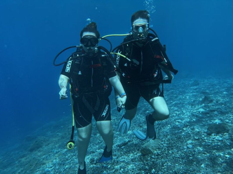 try-diving-for-the-first-time-in-turtle-area