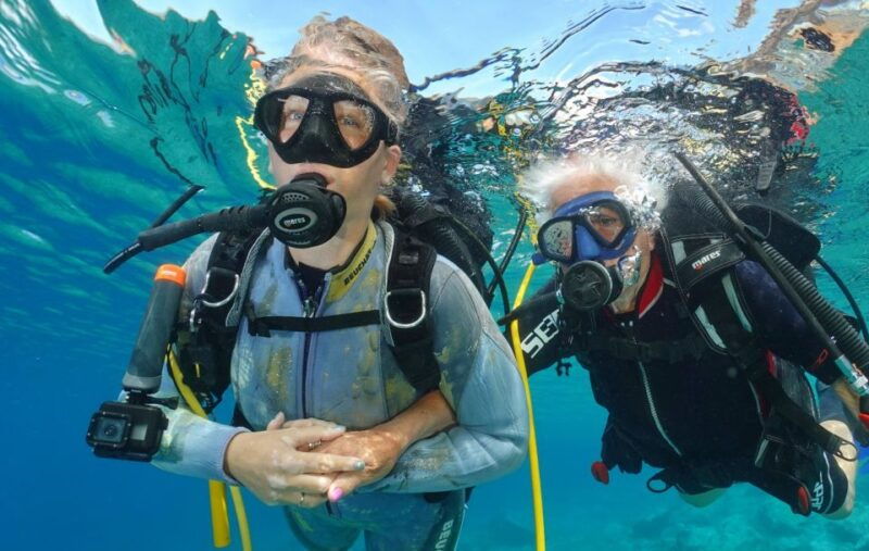 try-diving-for-the-first-time-in-turtle-area