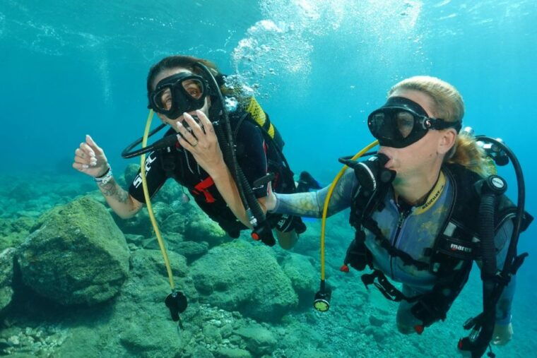 try-diving-for-the-first-time-in-turtle-area
