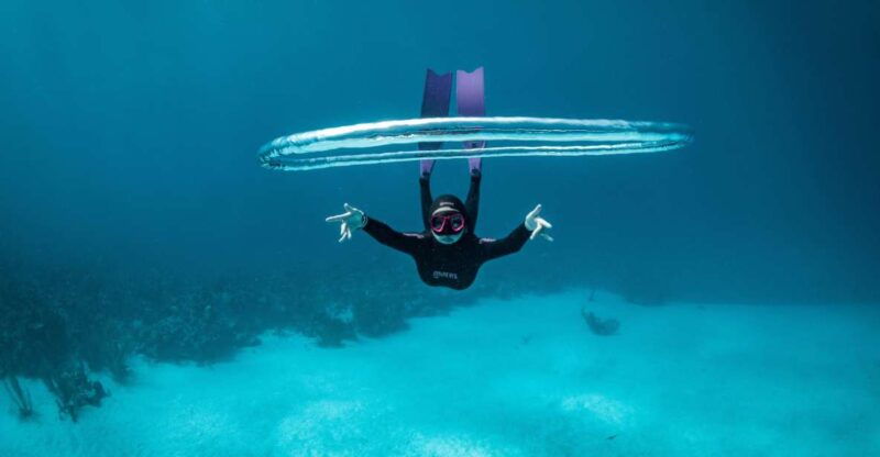 try-free-diving-in-the-island-of-the-big-blue
