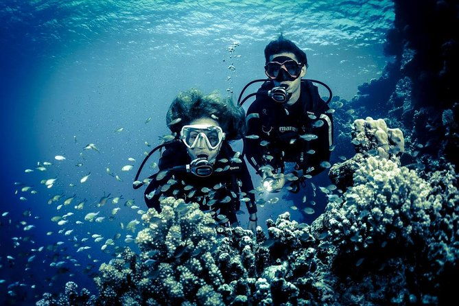 try-scuba-dive-baptism-of-the-sea