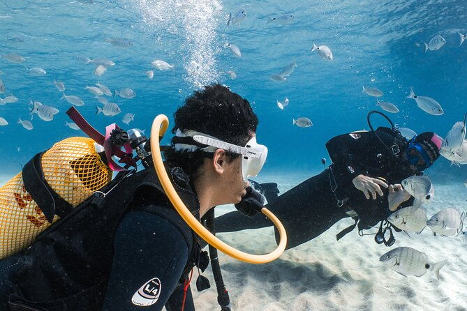 try-scuba-diving-1-dive