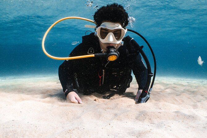 try-scuba-diving-1-dive