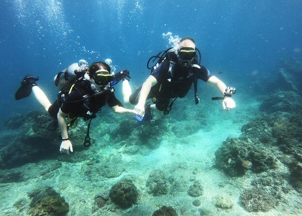 Try Scuba Diving at Padang Bai - Authentic Experiences & Tips from Reviews