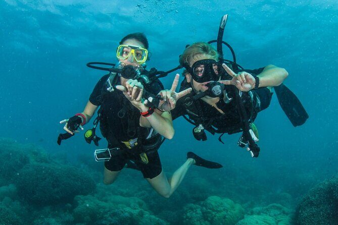 Try Scuba Diving Experience in Fujairah - Authentic Insights from Reviewers