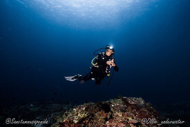 Try Scuba Diving for Beginners with manta rays (Non - Certified) - The Sum Up