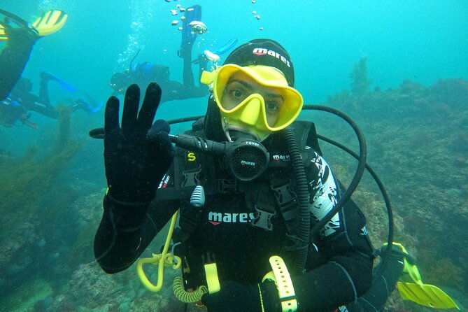 try-scuba-diving-in-arrabida-natural-park-near-lisbon-with-pictures
