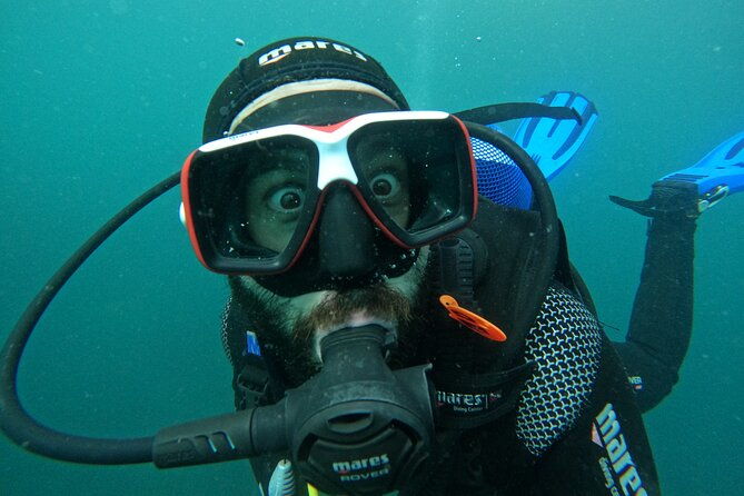 try-scuba-diving-in-arrabida-natural-park-near-lisbon-with-pictures