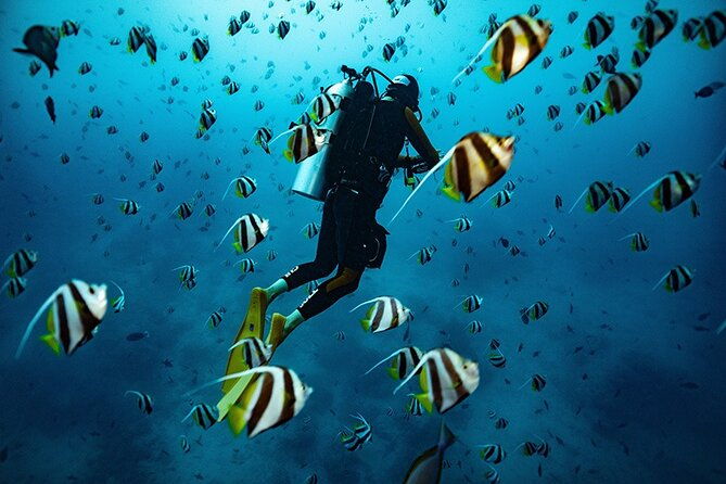 try-scuba-diving-in-kauai-no-experience-needed