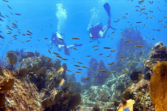 try-scuba-diving-in-kauai-no-experience-needed