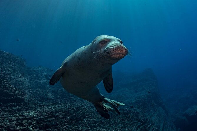 try-scuba-diving-in-kauai-no-experience-needed