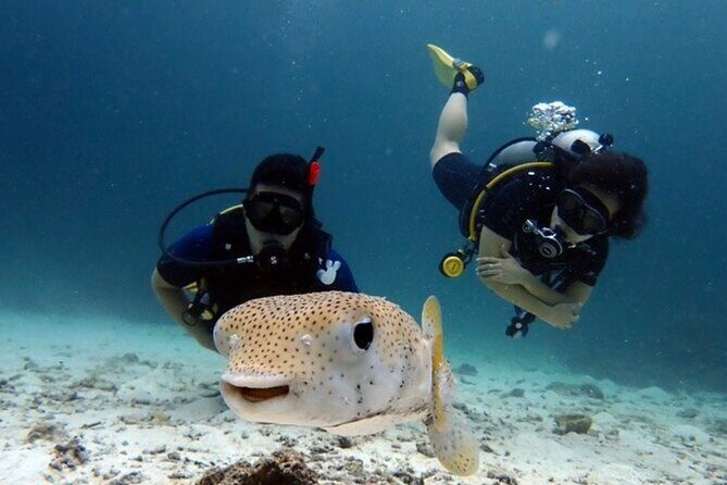 Try Scuba Diving in Racha Yai and Noi for Non-Certified - Overview of the Tour Experience
