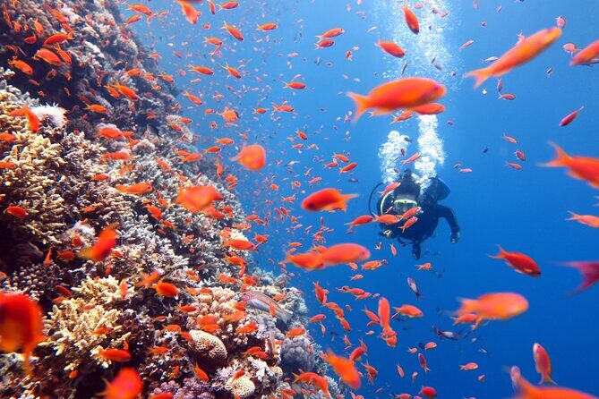 Try Scuba Diving in Racha Yai and Noi for Non-Certified - Why This Experience Offers Value