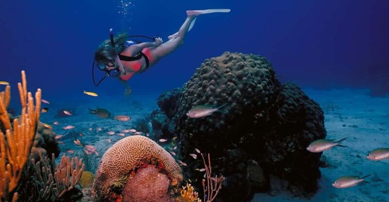 try-scuba-diving-in-racha-yai-noi-3-dives-for-non-certified