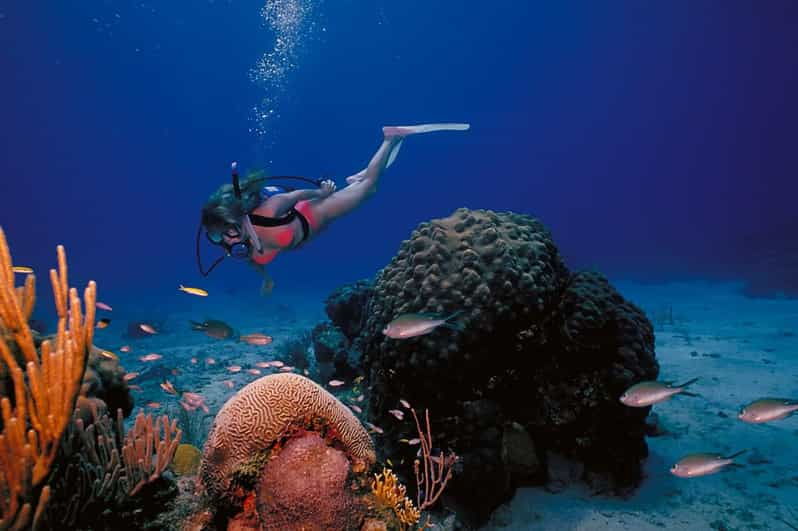 try-scuba-diving-in-racha-yai-noi-3-dives-for-non-certified