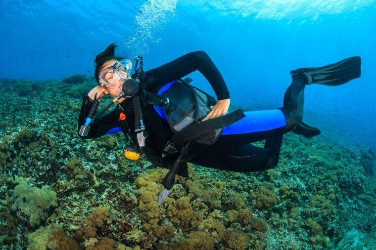 try-scuba-diving-in-racha-yai-noi-3-dives-for-non-certified