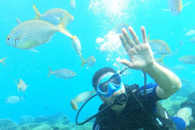try-scuba-diving-puerto-colon