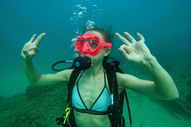 Try Scuba Diving & snorkeling with BBQ lunch in Fujairah - Key Points