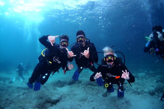 Try Scuba Diving & snorkeling with BBQ lunch & Transfer - An In-Depth Look at the Tour Experience
