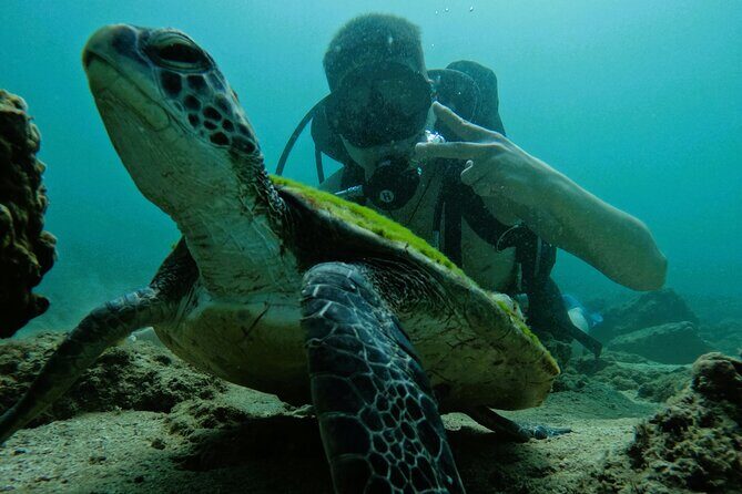 Try Scuba Diving & snorkeling with BBQ lunch & Transfer - Final Thoughts