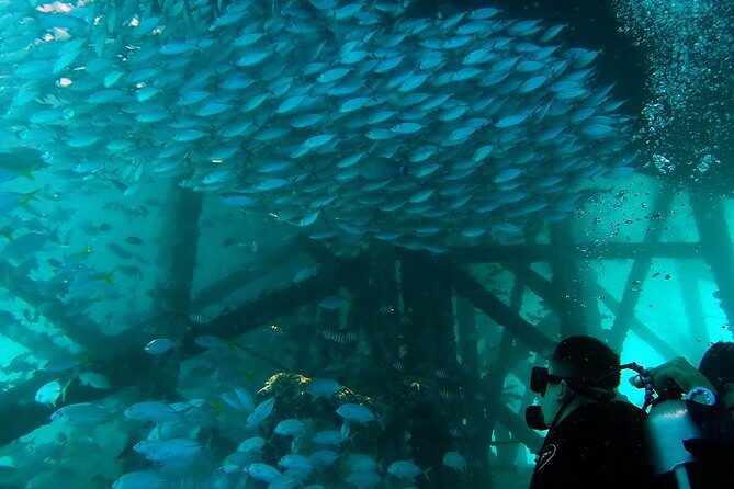 TRY SCUBA (non diver) - Who Should Consider This Experience?