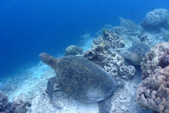 TRY SCUBA (non diver) - Final Thoughts