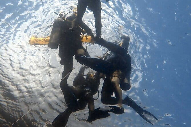 TRY SCUBA (SSI Basic Diver)  Your First Dive Experience in Bali - A Deep Dive Into the Experience