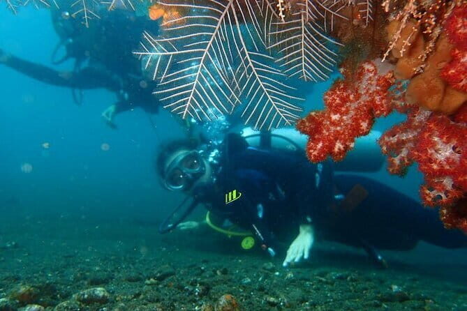 TRY SCUBA (SSI Basic Diver)  Your First Dive Experience in Bali - FAQ