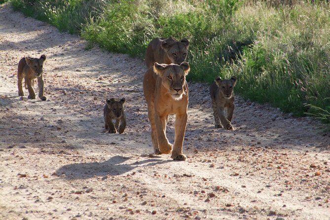 Tsavo East Amboseli and Tsavo West Safari 4 Days starting Malindi - What Makes This Safari Special?
