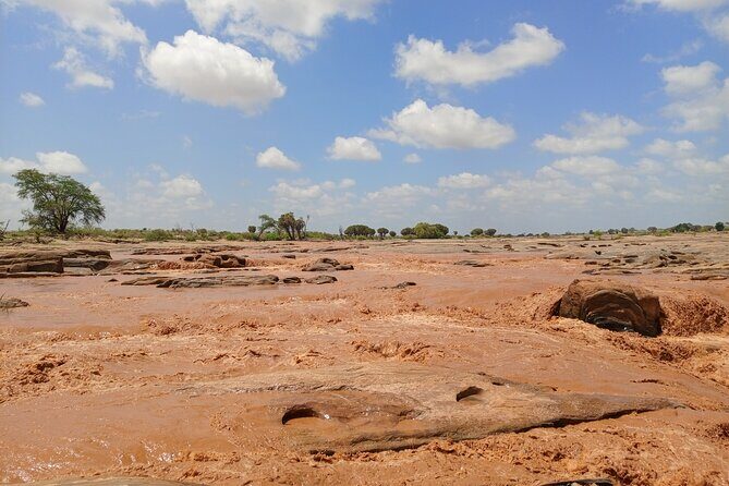 Tsavo East and Ngutuni Sanctuary Safari 3 days from Mombasa - Frequently Asked Questions