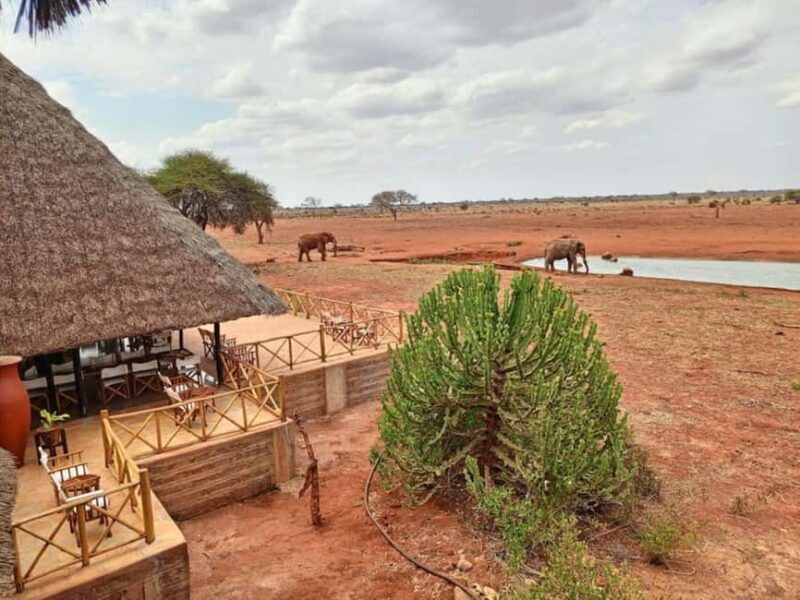 Tsavo East from Mombasa /Port/Diani- Small Group - The Itinerary Breakdown: What to Expect