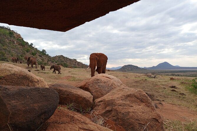 Tsavo East National Park 2 days Voi Safari Lodge from Mombasa. - Final Words