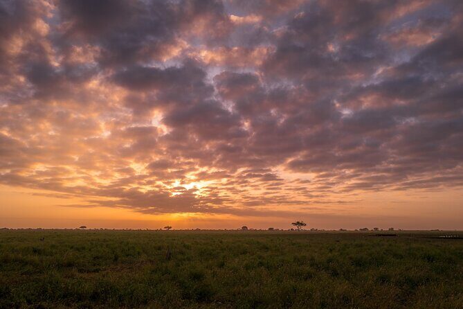 Tsavo East National Park 2 days Voi Safari Lodge from Mombasa. - FAQ