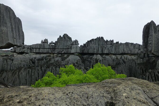 Tsingy Tour 04 Days - Who Is This Tour Best For?