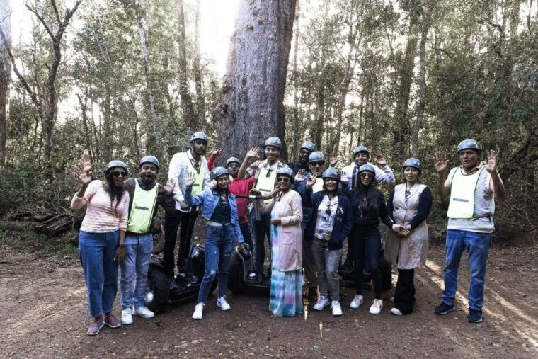 tsitsikamma-national-park-1-or-2-hour-segway-tour